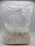 Grain colonisé 2,5 kg – Pleurote blanc