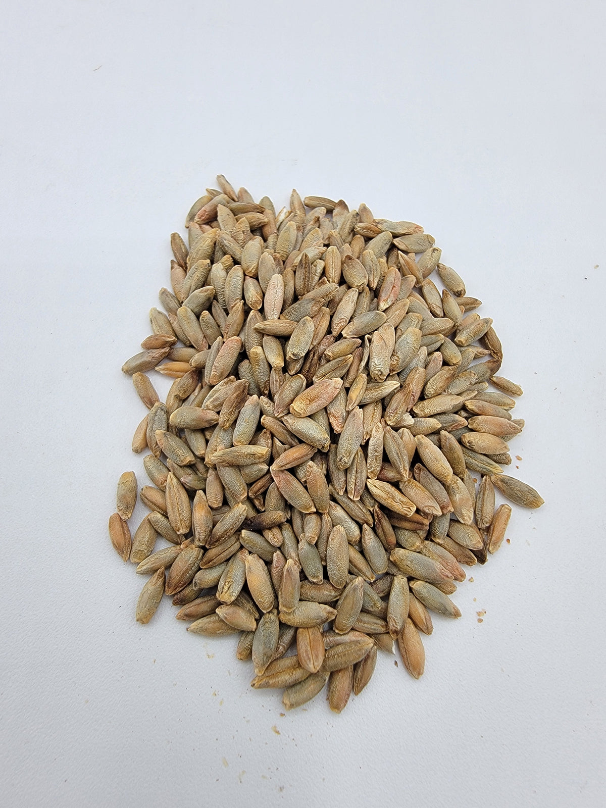 Seigle entier bio